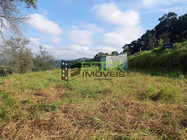 Terreno para Venda em São Paulo - 4