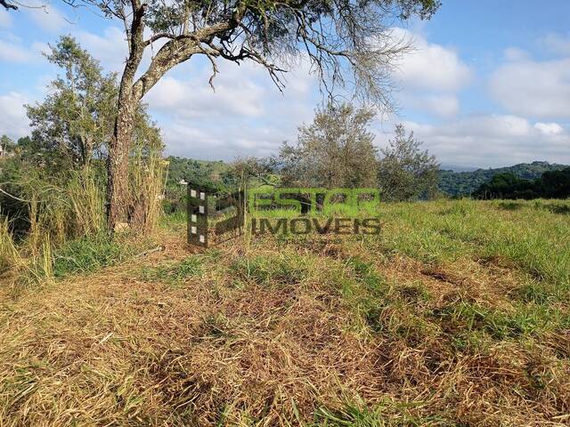 Terreno para Venda em São Paulo - 5