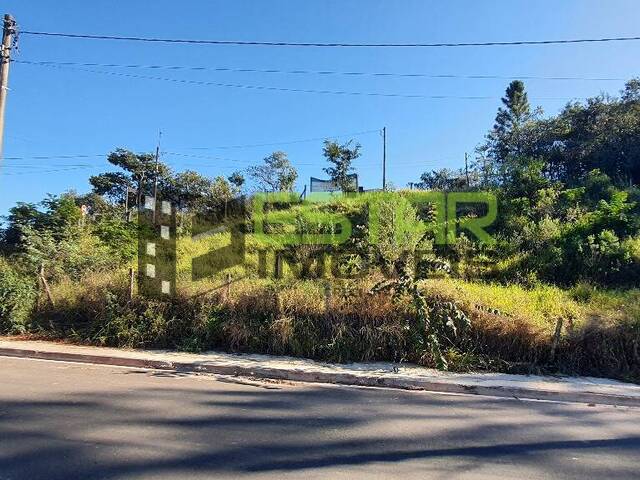 #1010 - Área para Venda em São Paulo - SP - 3